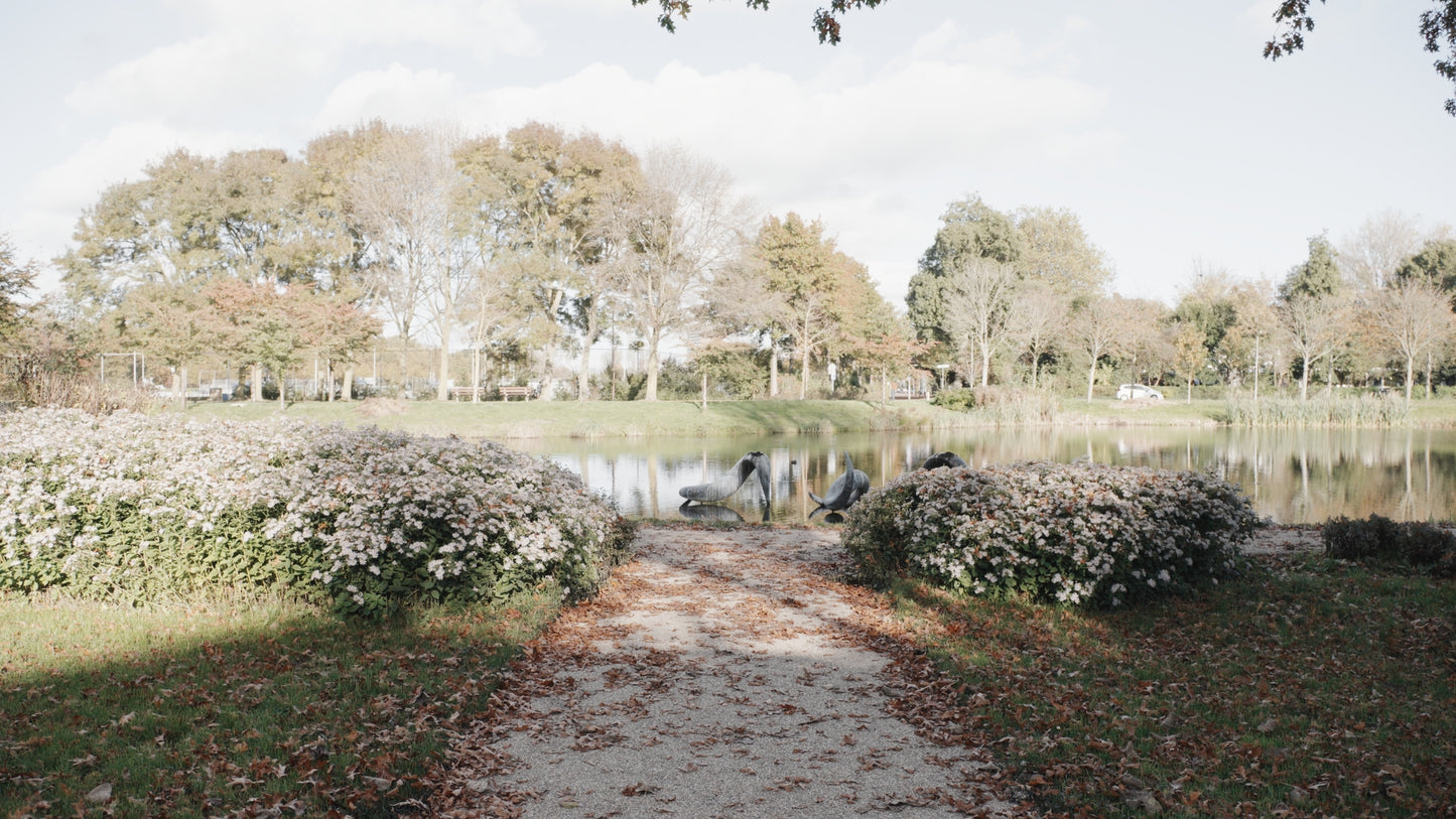Pastel Dream LUT