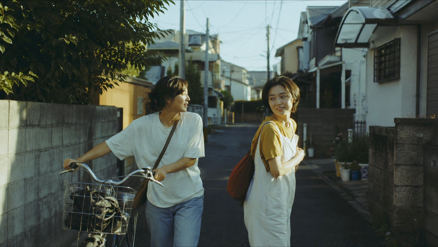 OW Digital Film Stocks No.01 — Kodak Gold 200 / Native Cineon