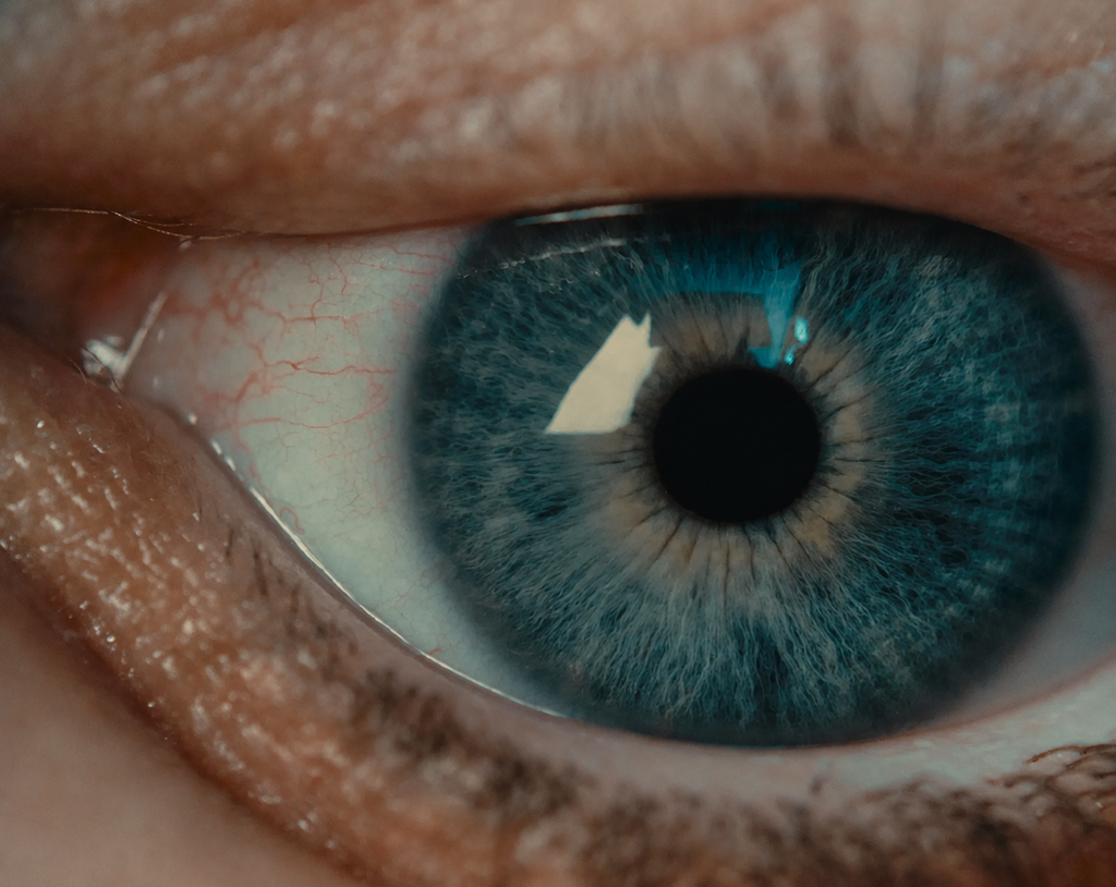 OW Cinema Looks No. 1 - Atomic 65 LUT