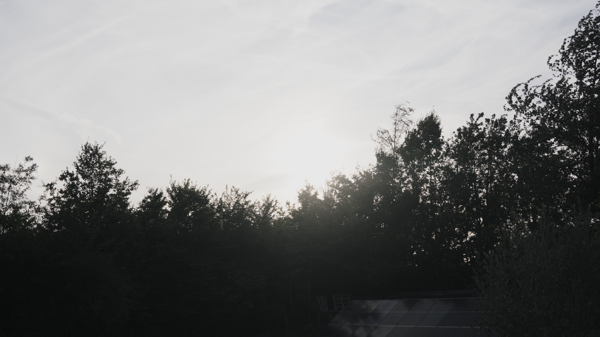 OW Essentials No.03 - Content Creator Cine LUT