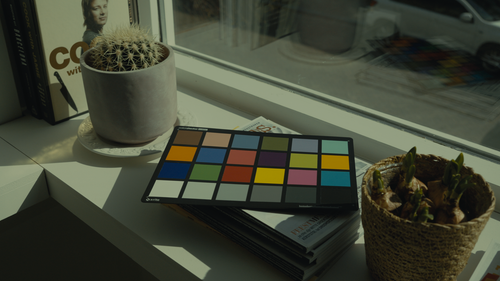 Fuji Vivid 500T Cineon Film Emulation LUT