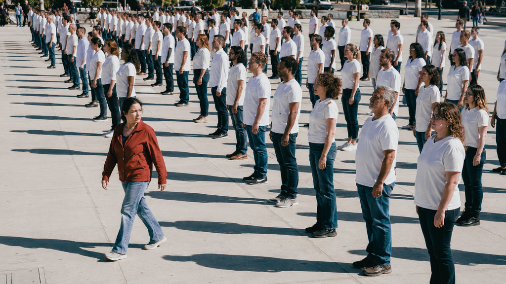 OW Cinema Looks No. 6 - Collective Neutral LUT