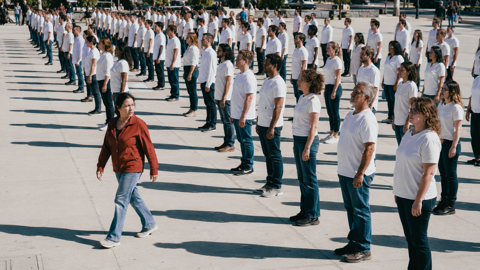 OW Cinema Looks No. 6 - Collective Neutral LUT